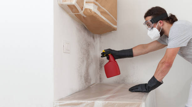 Professional Crawl Space Mold Remediation technician working in New Oxford, PA